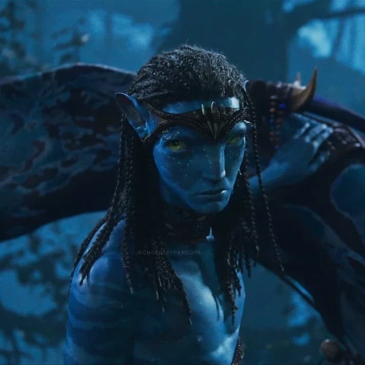 Thumbnail of Neteyam Sully