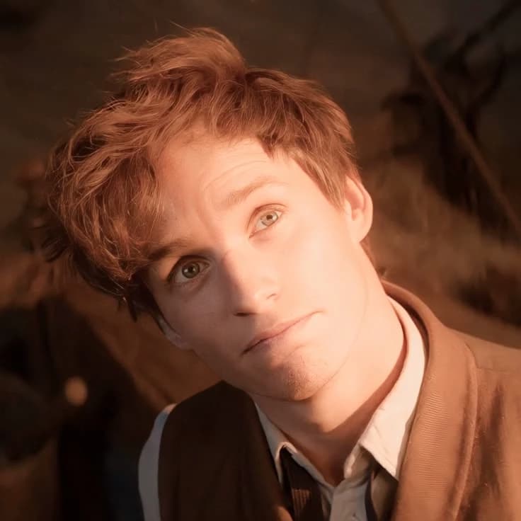 Thumbnail of Newt Scamander