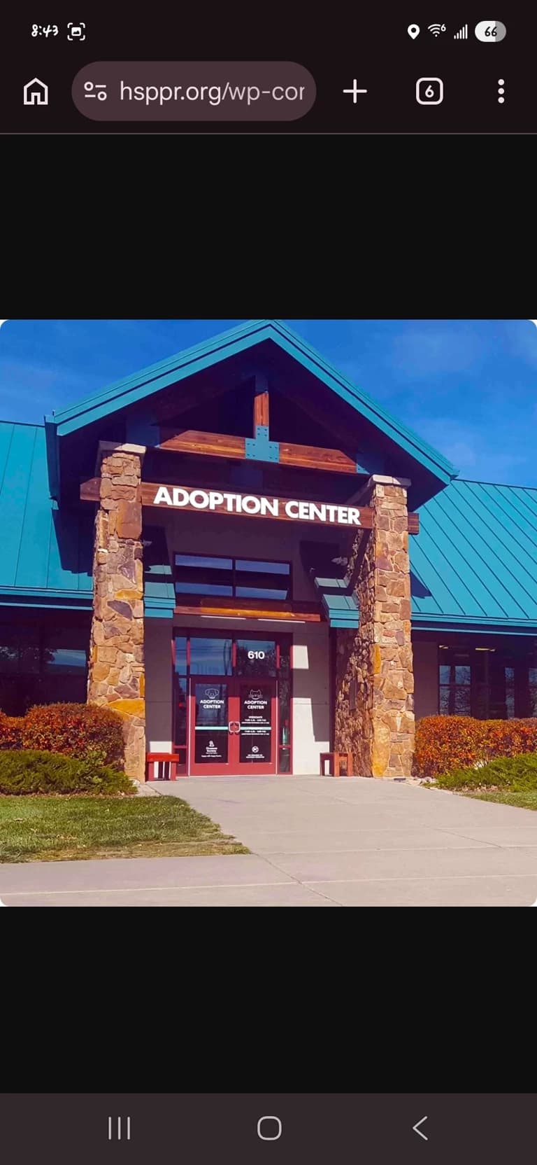 Thumbnail of Hybrid adoption