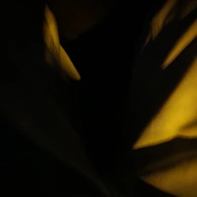 Thumbnail of Hunter