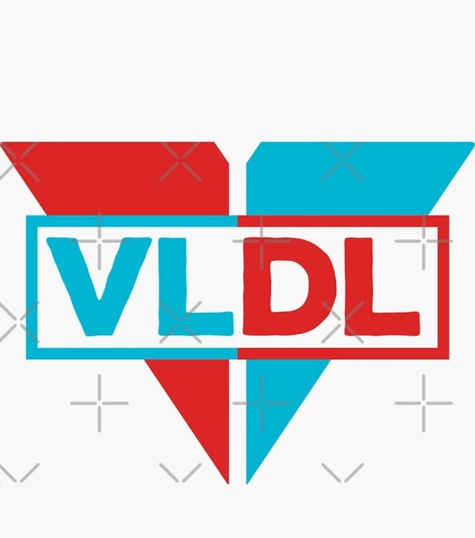 Thumbnail of VLDL Camping Trip – New Hire Bonding