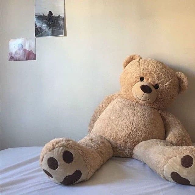 Thumbnail of you are wearing a teddy bear