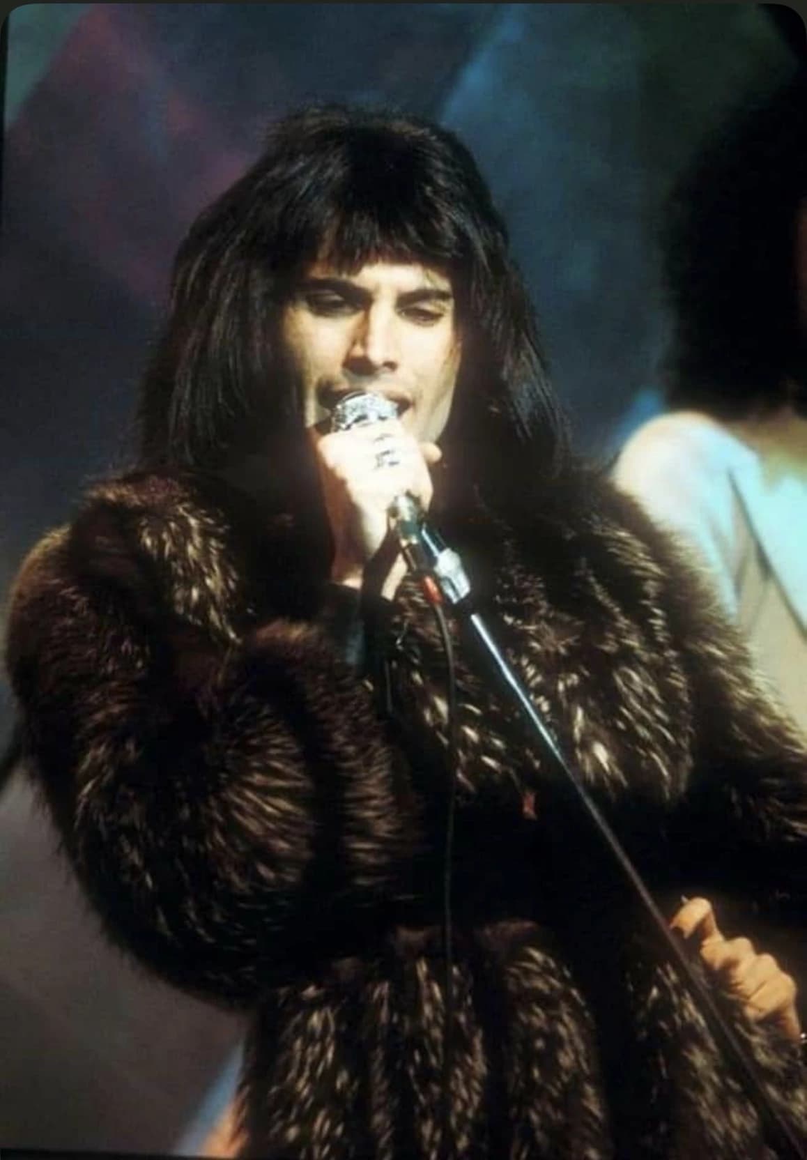 Thumbnail of FREDDIE MERCURY!!