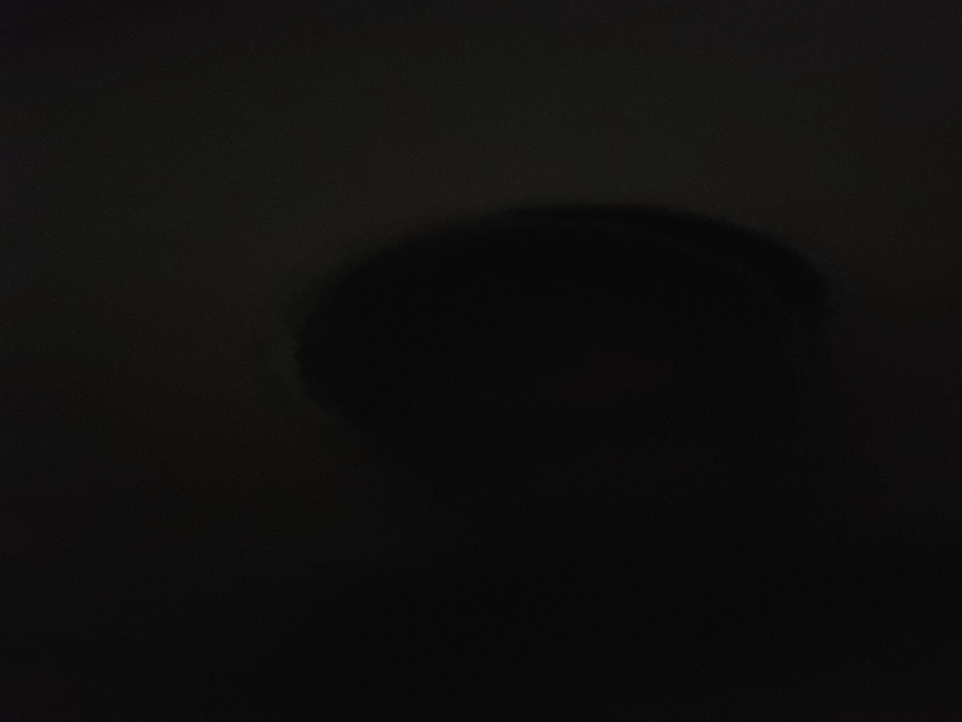 Thumbnail of Shadow