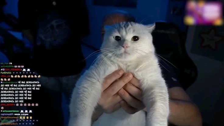 Thumbnail of ||Александр Зубарев||