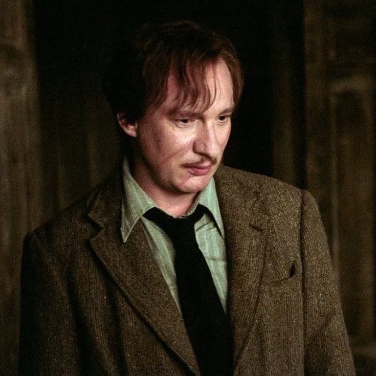 Thumbnail of Remus Lupine
