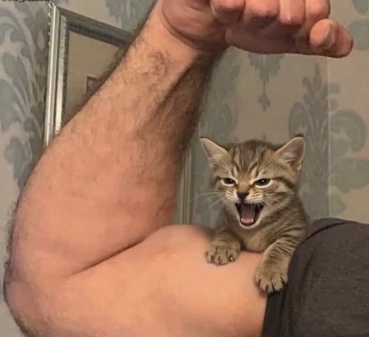 Thumbnail of you are a cat l his name is Julian