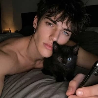 Thumbnail of Котёнок/ Твой котёнок
