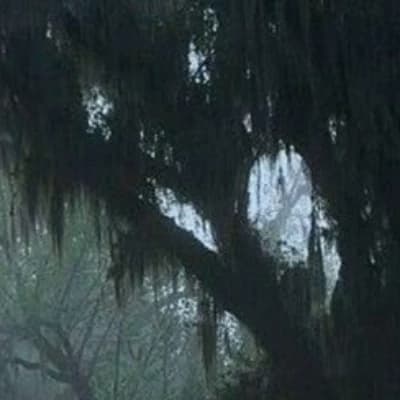 Thumbnail of Who