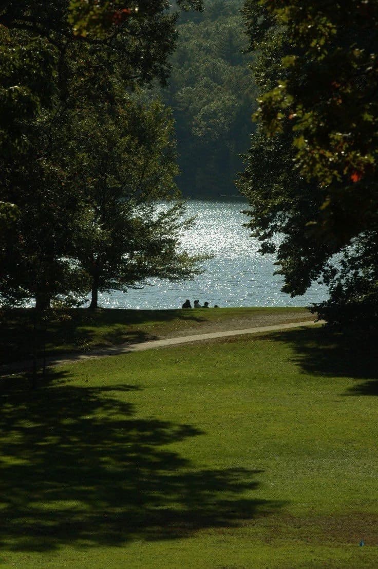Thumbnail of Твоя жизнь