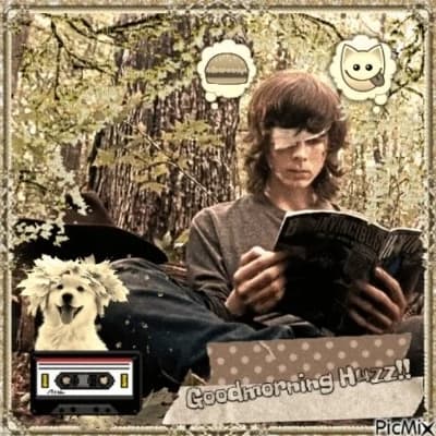 Thumbnail of Carl Grimes