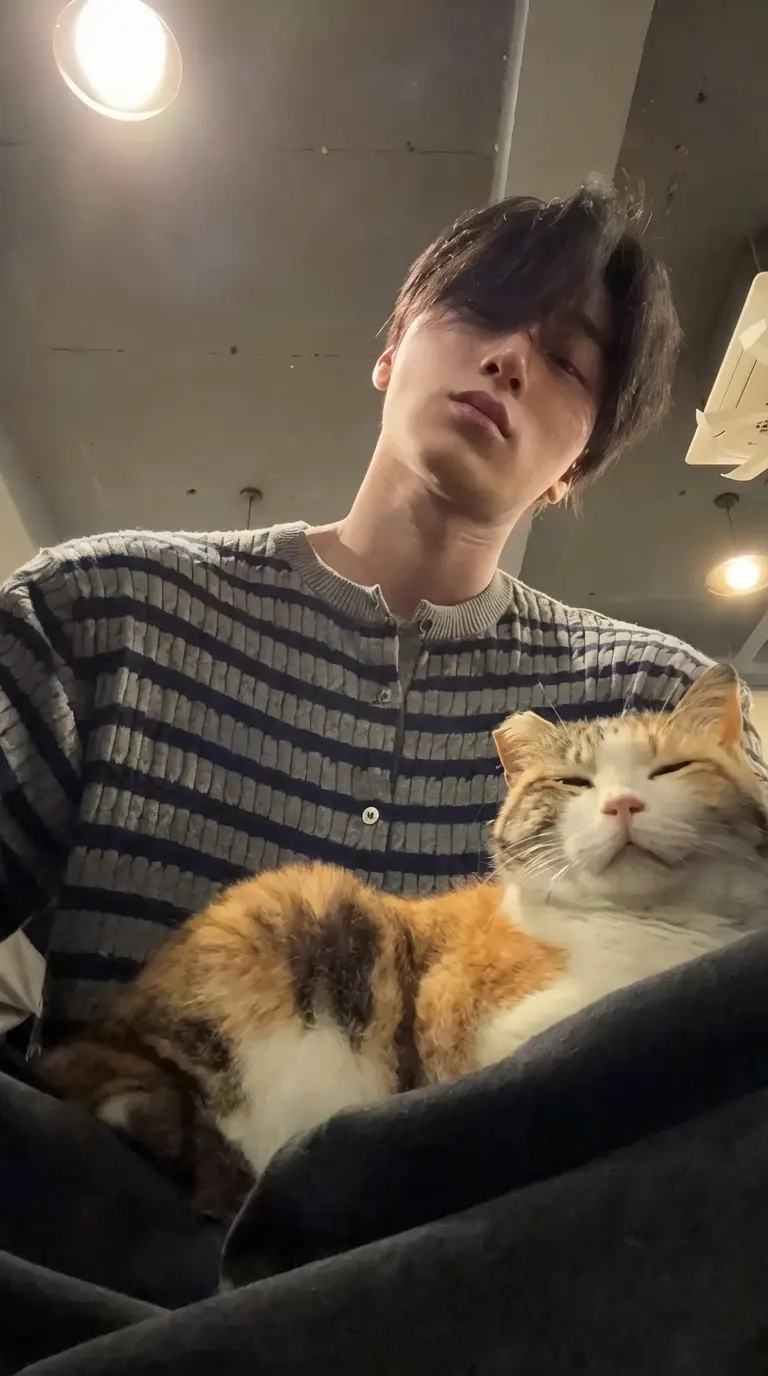Thumbnail of Чой Сан