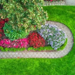 Thumbnail of Street Paving and Gardening AI