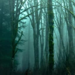 Thumbnail of Scary Story Generator