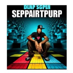 Thumbnail of Dub Stepper Vocal - Importance of Caring