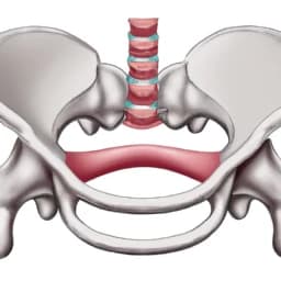 Thumbnail of Anatomy Explora