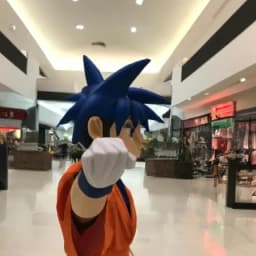 Thumbnail of Goku's Quest at the Mall