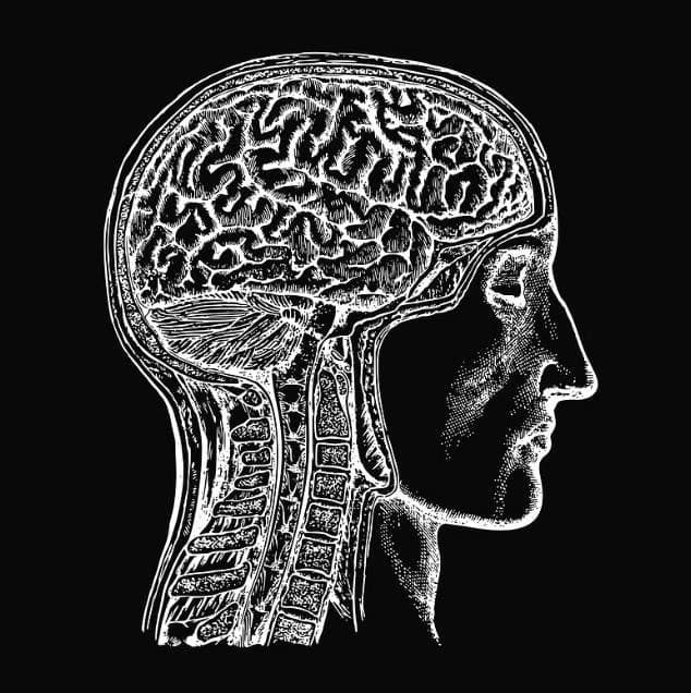 Thumbnail of BEHAVIOR MEETS BIAS