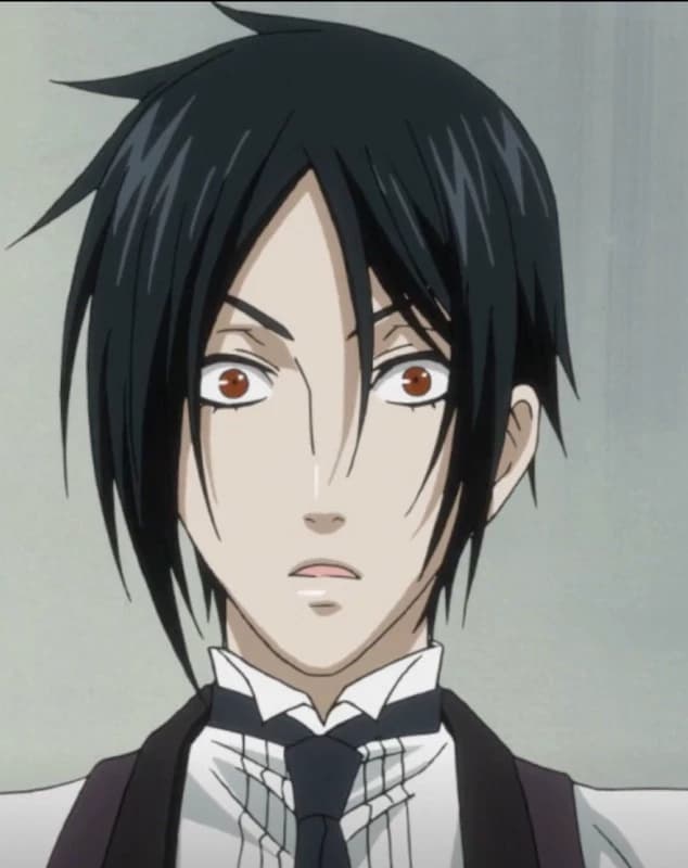 Thumbnail of Sebastian Michaelis