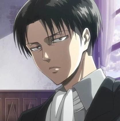 Thumbnail of Captain Levi