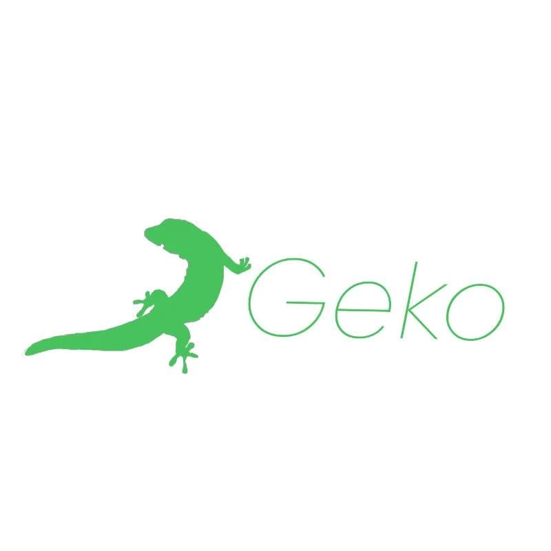 Thumbnail of Learning  Geko.