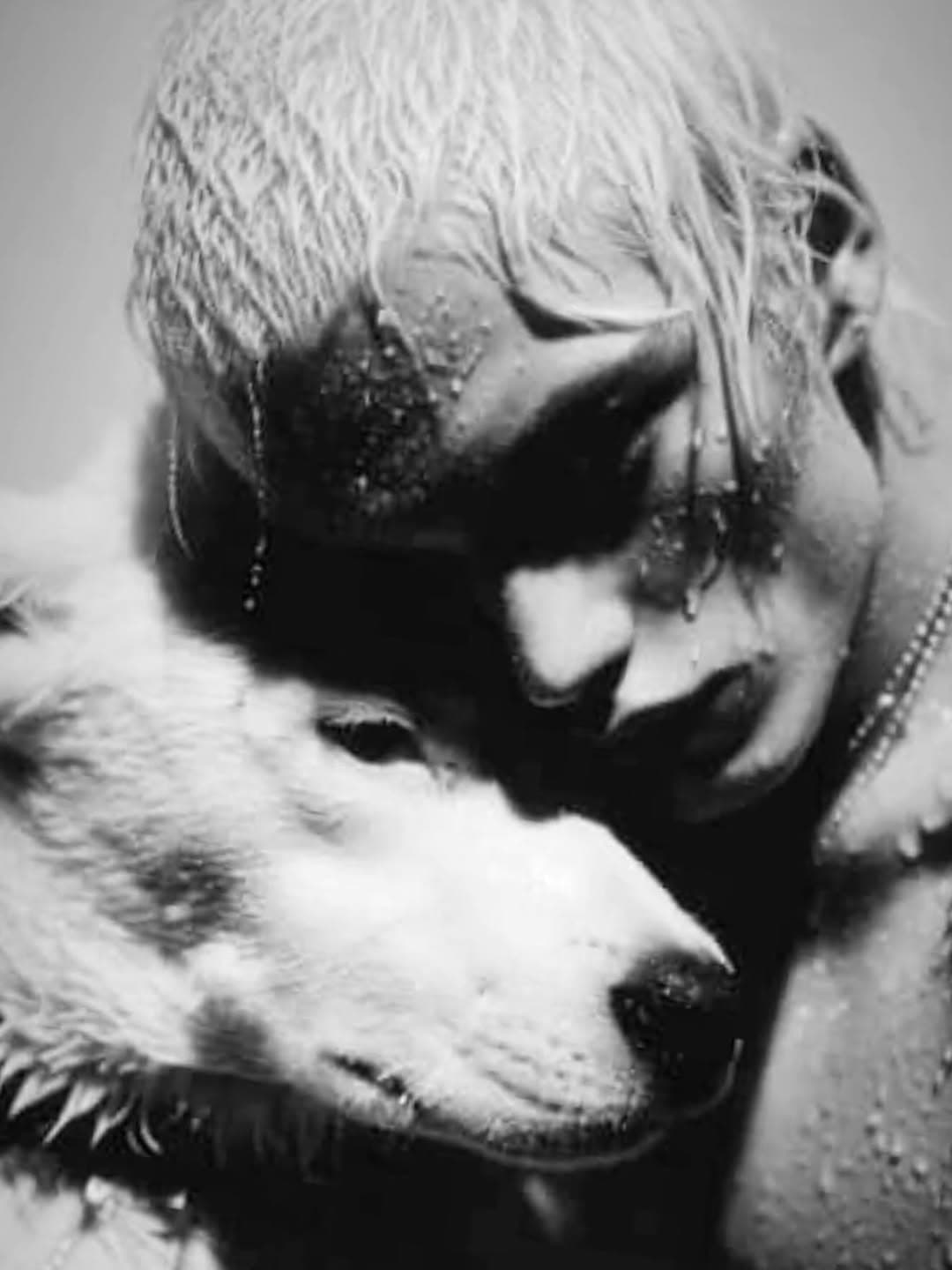 chatAvatar