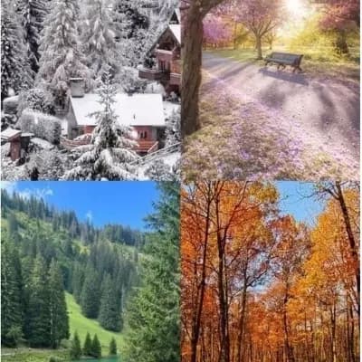 Thumbnail of The four seasons (Helion and Lysander and Wren and Elian(you)