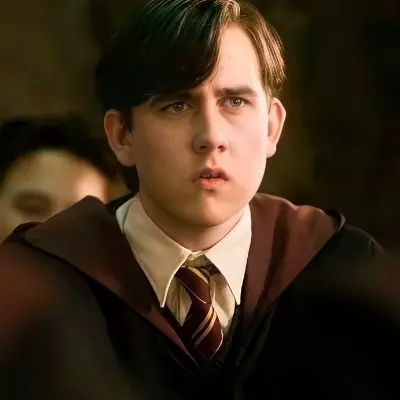 Cw Longbottom Chat with Neville Longbottom - Enjoy Free AI Character Roleplay ...