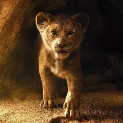 Chat with Simba - Enjoy Free AI Character Roleplay | FlowGPT | Simba RP