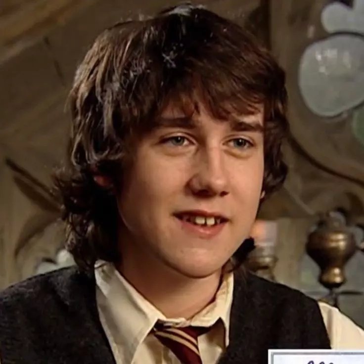 Cw Longbottom Chat with Neville Longbottom - Enjoy Free AI Character Roleplay ...