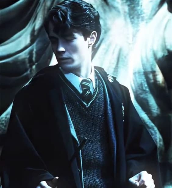 Tom Riddle Criminal File Chat with Tom riddle - Enjoy Free AI Character Roleplay | FlowGPT | Tom ...